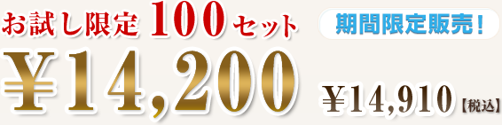 100Zbg Ԍ̔! 14,200 14,910yōz